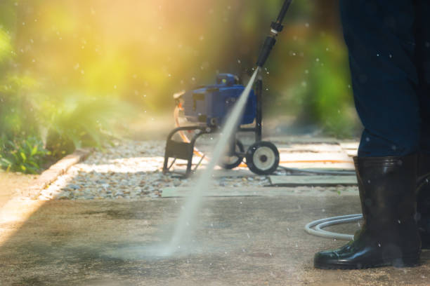 Animal Enclosure Cleaning in Marcus, IA